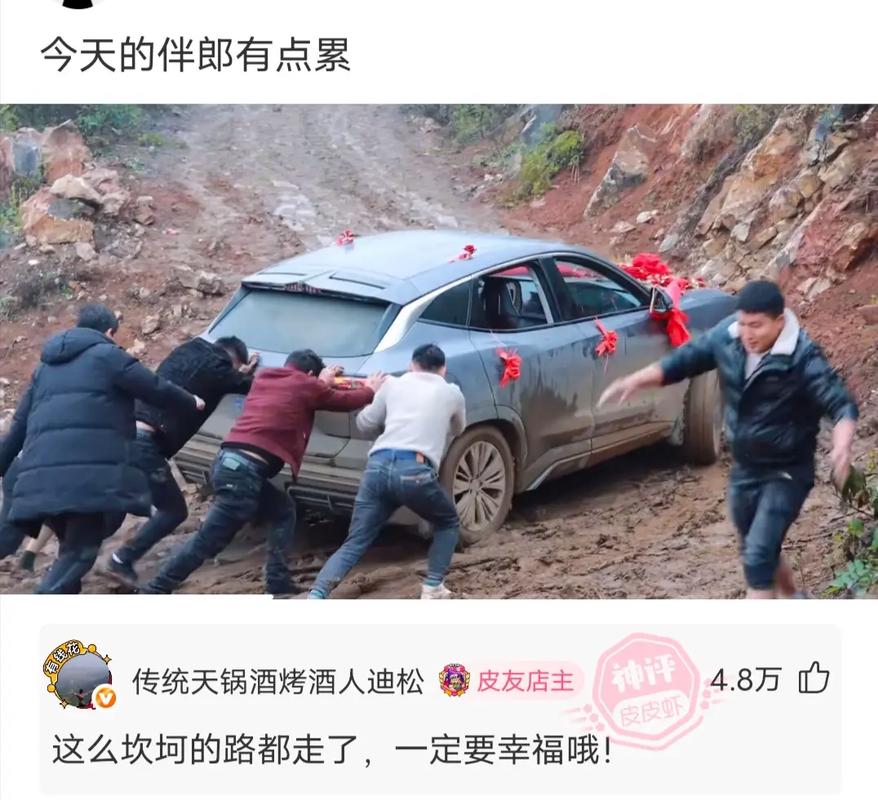 如何有效提升皮皮虾粉丝数并检查其增长情况？
