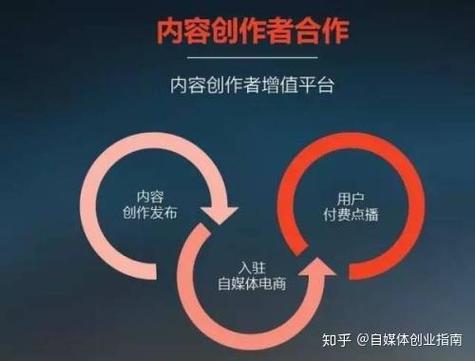 如何调整知乎个人领域设置，并了解当前最热门的领域有哪些？