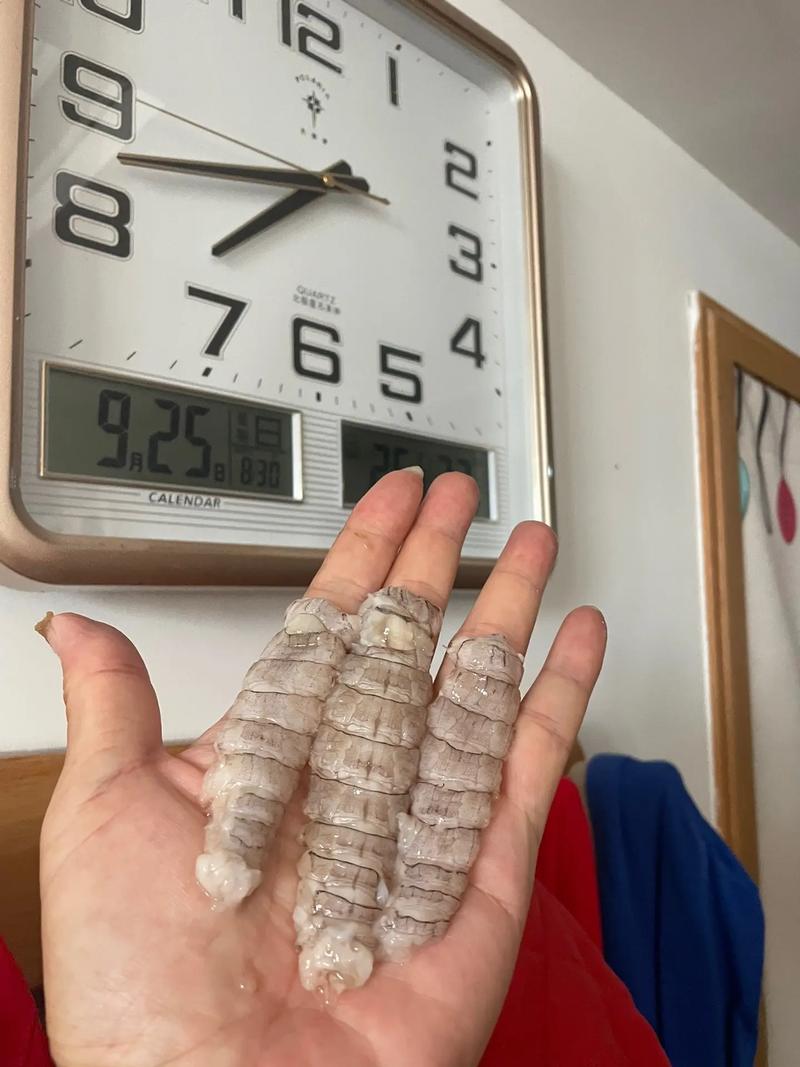 如何提升皮皮虾视频的观看量，掌握浏览量增长的秘密？