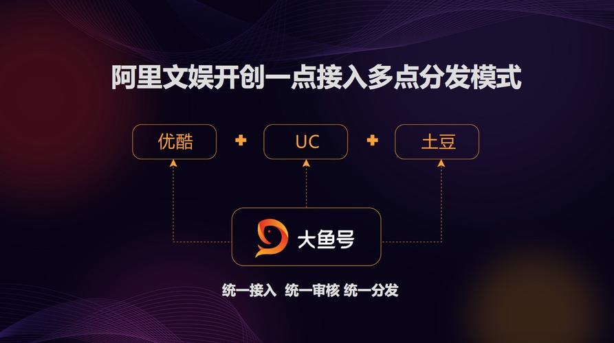 如何有效增加大鱼号的粉丝数量，并查看当前粉丝计数？