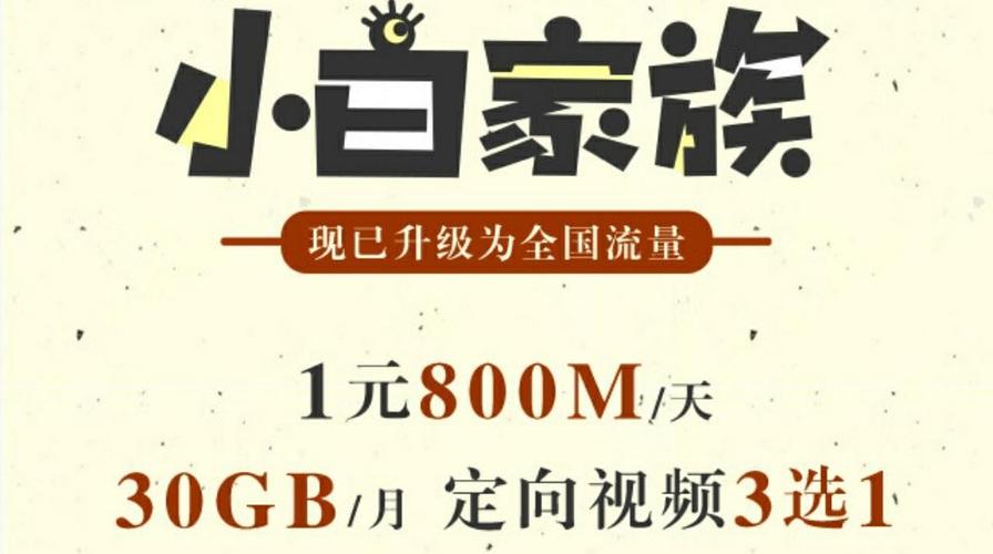 怎样禁用小白卡流量