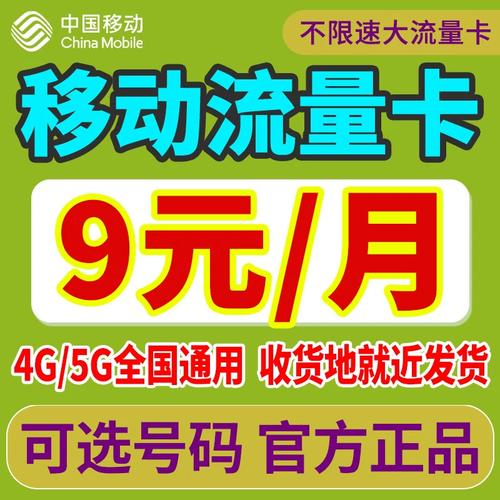 移动大王卡剩余流量