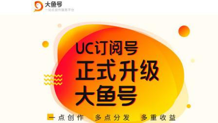 大鱼号爆文怎么写的？写作技巧有哪些？