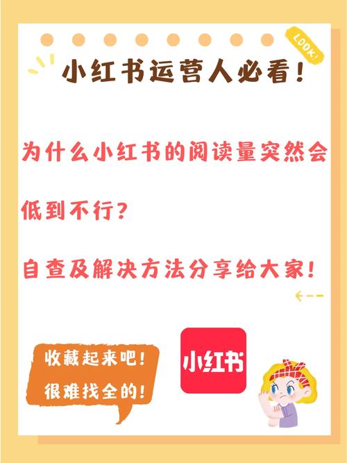 如何在小红书上查看阅读量并有效提升它？