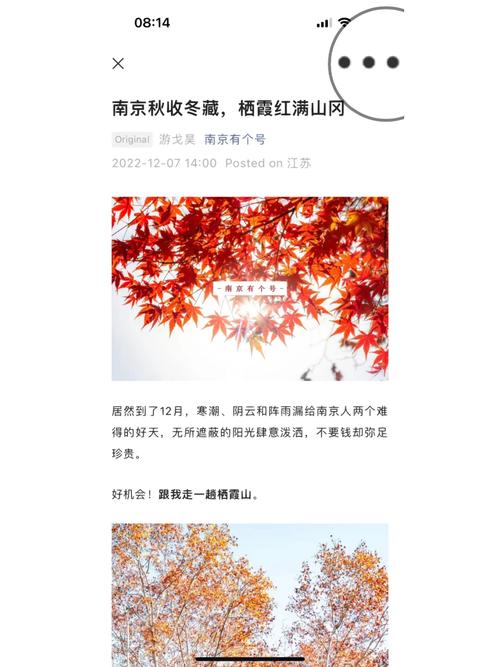大风号文章怎么能被收录？手机怎么发布文章？