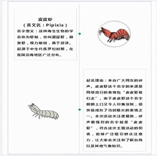 皮皮虾帐号昵称怎么取?昵称如何更换?
