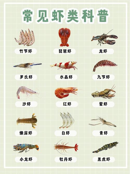 皮皮虾的昵称怎样更改？昵称如何选择？
