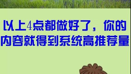 大鱼号的推荐量怎么提高?推荐量在哪看?