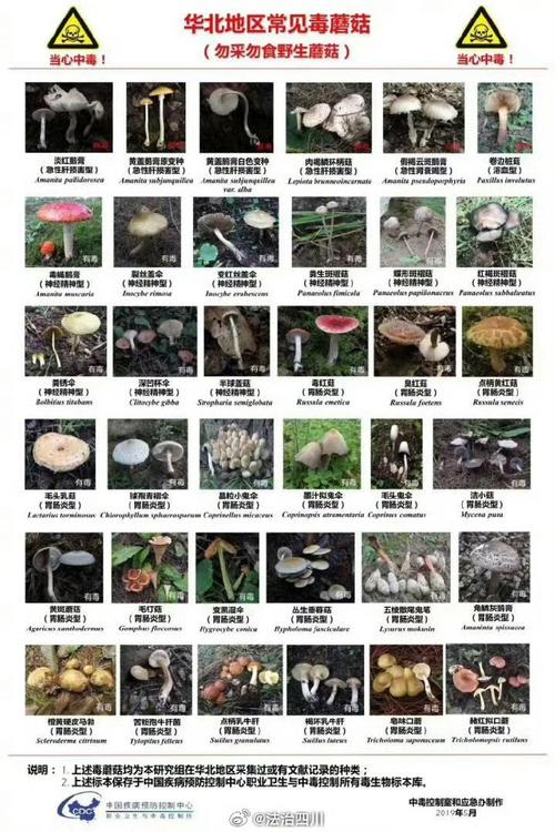 惠头条怎么吸引粉丝？有些什么方法？