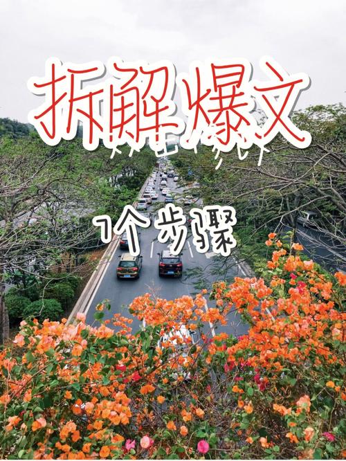 惠头条爆文怎么写?惠头条在哪里发布作品?