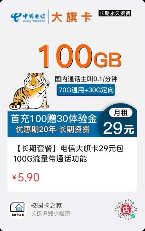 星卡流量版电信