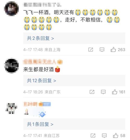 如何在网易号中利用粉丝力量，以及他们被称为什么？