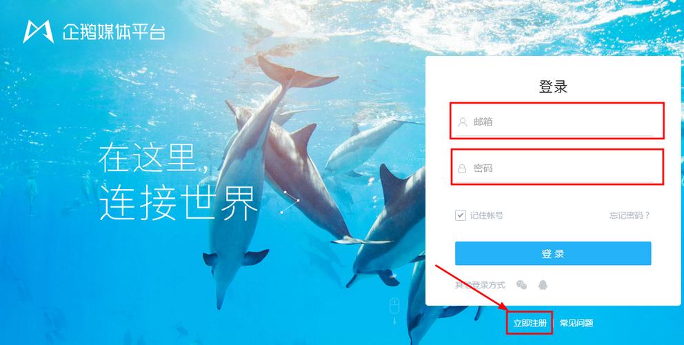 企鹅号领域在哪查看?领域选错了怎么办?