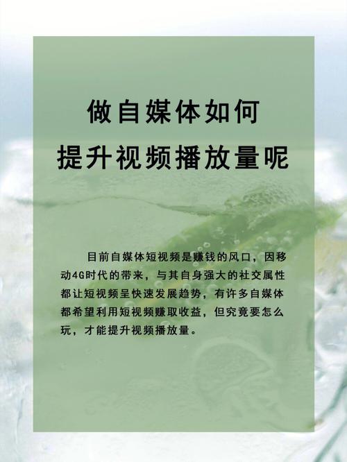 如何查看和提高哔哩哔哩视频的播放量？