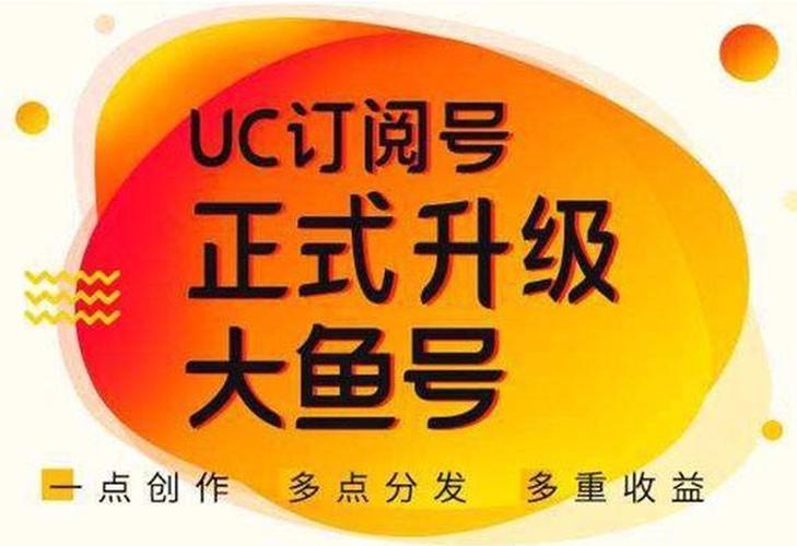 大鱼号星级怎么提升?提升方法有哪些?