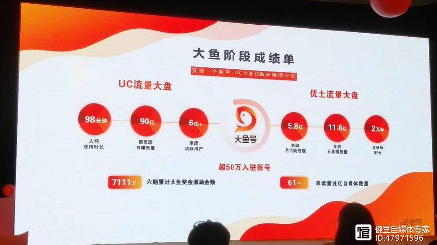 大鱼号星级怎么提升?提升方法有哪些?