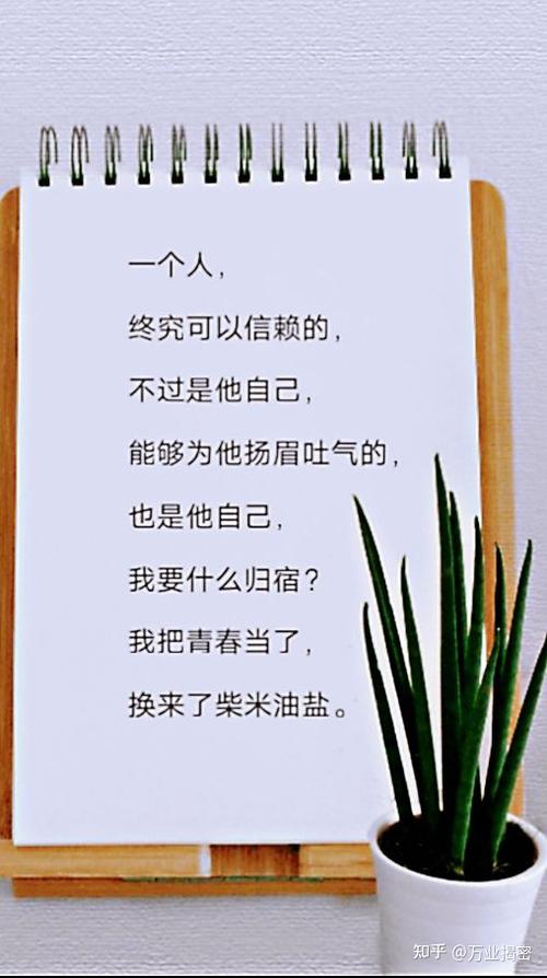 知乎浏览量怎么计算?知乎浏览量高有收益吗?