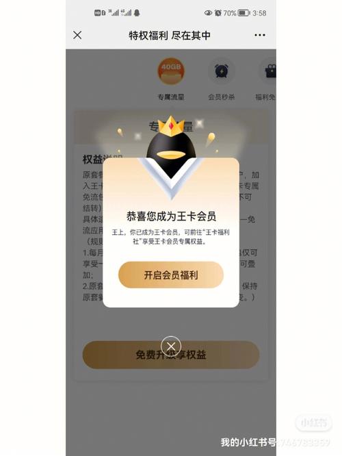 王卡改流量升级