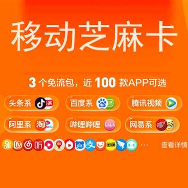 芝麻卡国内其他流量