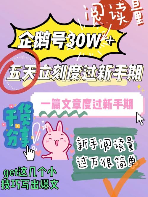 企鹅号的新手期怎么过？新手期要注意什么？