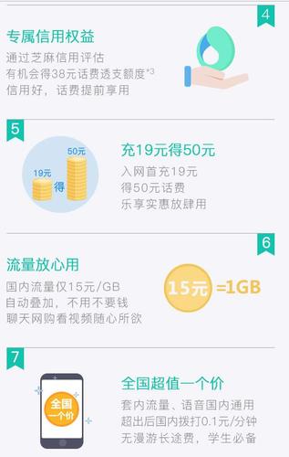 芝麻卡国内其他流量
