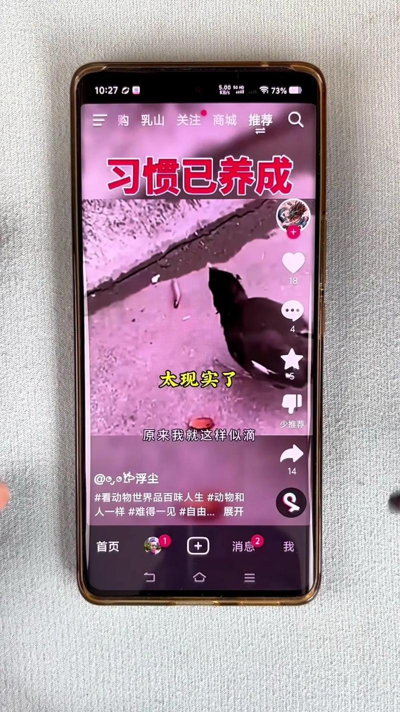 如何制作抖音照片集，以及有哪些不同类型的照片集可供选择？