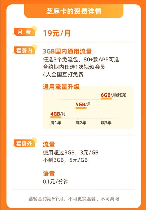 芝麻卡国内其他流量究竟指的是什么？