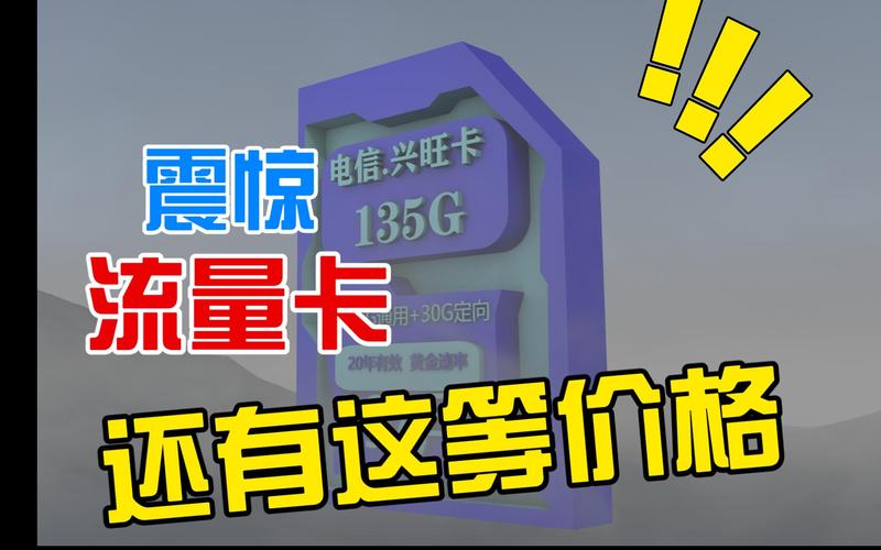 丽江电信大流量卡