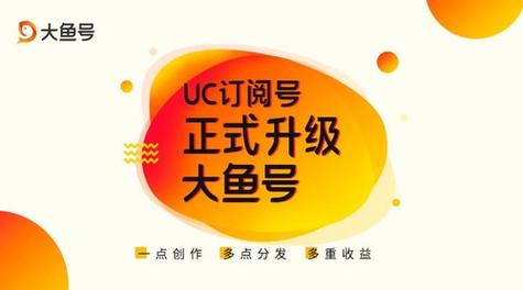 大鱼号视频在哪里?如何寻找喜欢的视频?