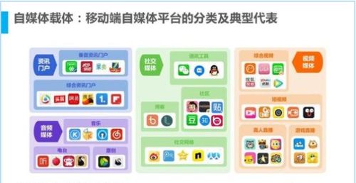 大鱼号爆文如何写出?技巧有哪些?