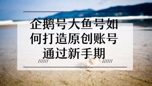 企鹅号过新手期要多久?过新手期有哪些技巧?