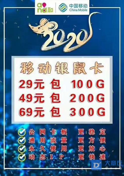 100级包月流量卡