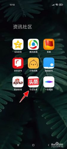 今日头条领域怎样查看?查看步骤是什么?