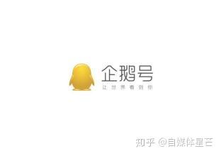 企鹅号新手期怎么通过?新手期需要注意什么?