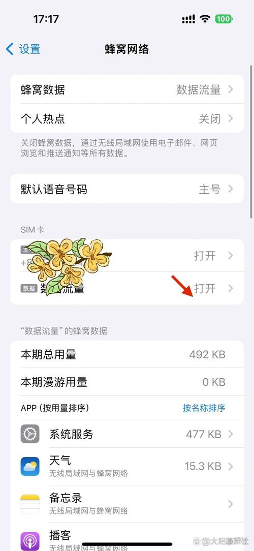 苹果12流量卡选择