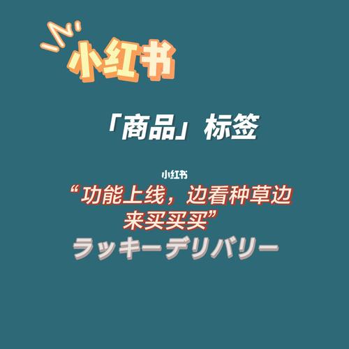 小红书标签怎么自定义?话题标签有哪些?