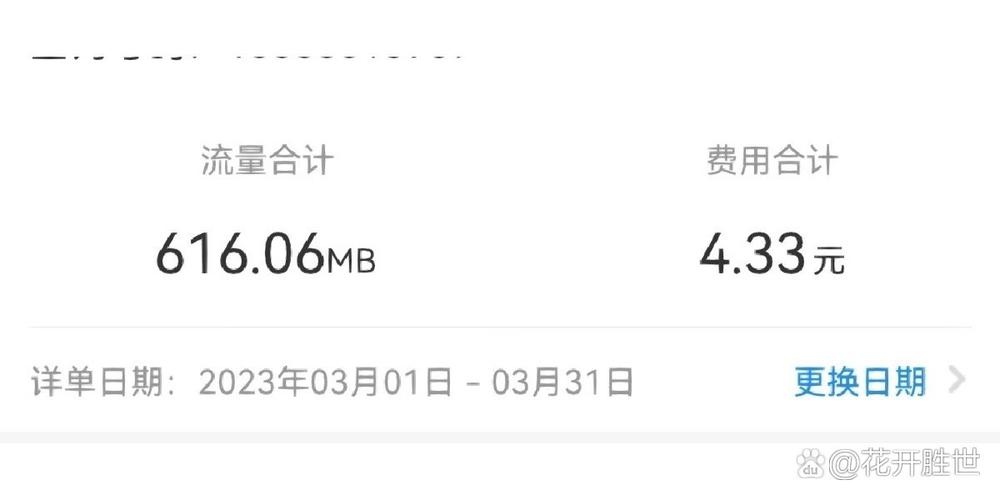 王者无忧卡流量