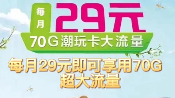 东莞东城流量卡，是您的理想选择吗？