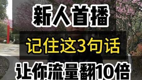 如何在抖音直播中用话语吸引粉丝并赚钱？