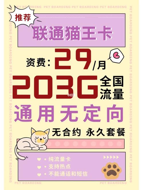20张流量卡能带来哪些网络自由体验？