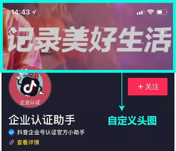 抖音蓝v企业认证需要身份证吗？为什么限流？(抖音蓝v企业认证需要什么资料)