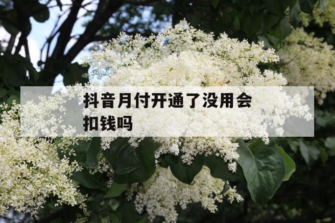 抖音扣钱没提示哪里扣的?没有买东西扣钱了怎么回事?(抖音扣钱没提示怎么回事)