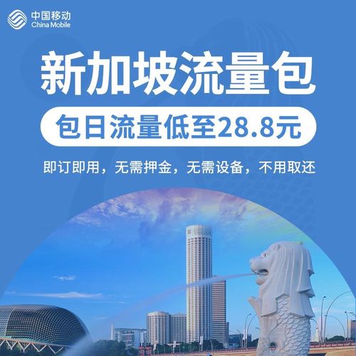 流量卡可以开境外流量吗