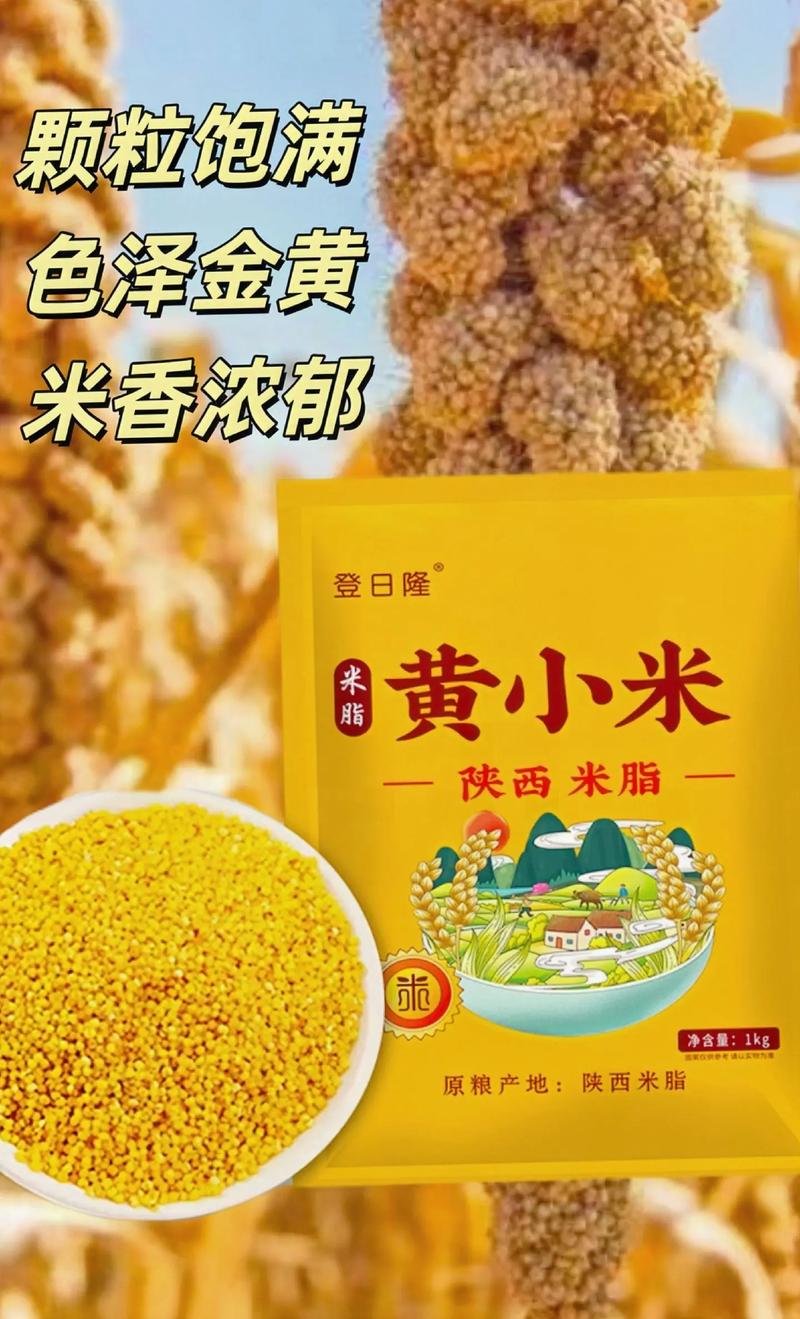 小米流量卡抖音免流量吗