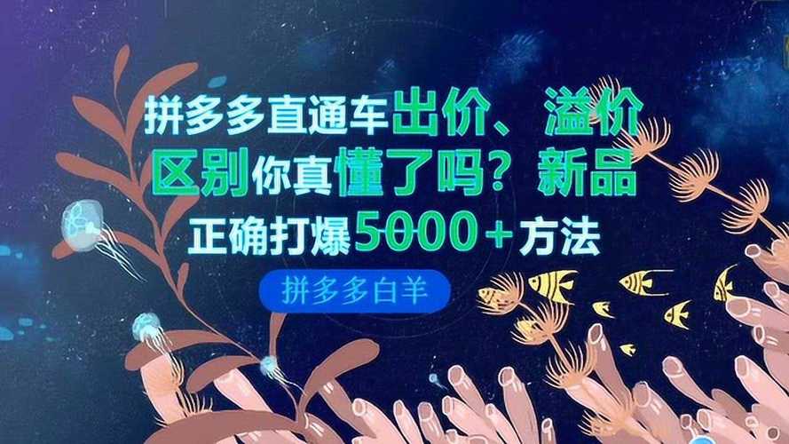 拼多多精确匹配溢价是什么意思?如何设置溢价?(拼多多精准匹配怎么开)