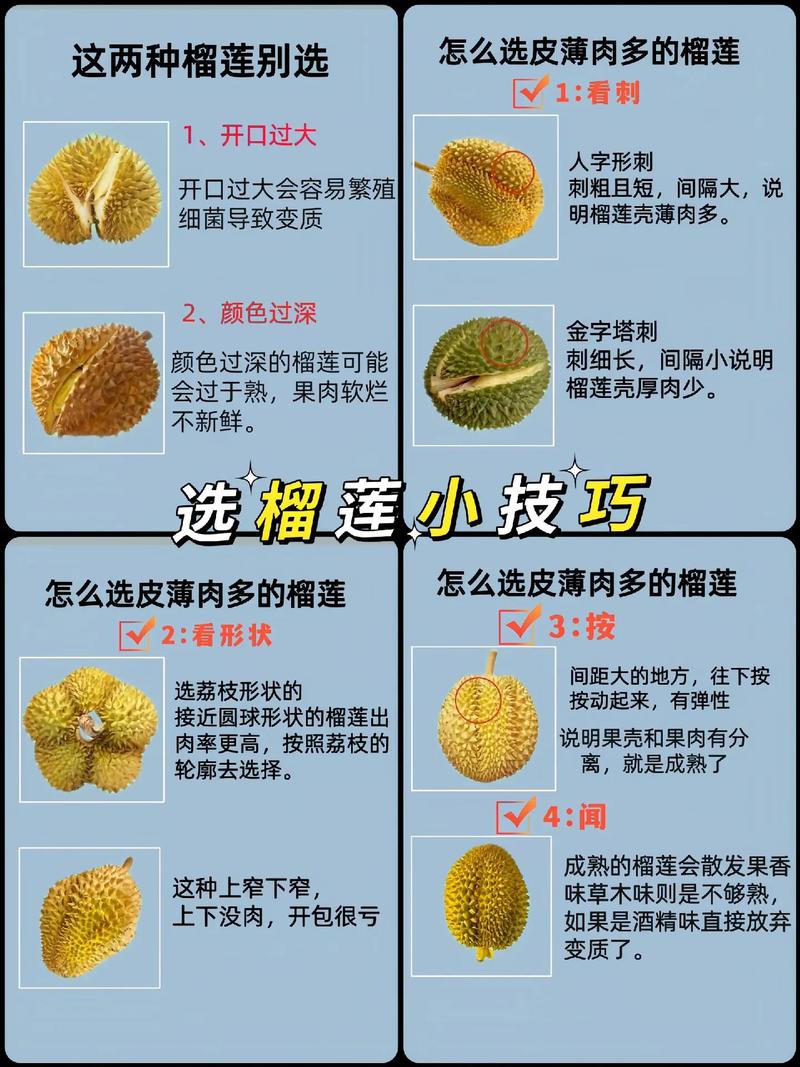 抖音生鲜鲜榴莲商品发布及宣传细则(榴莲算生鲜吗)