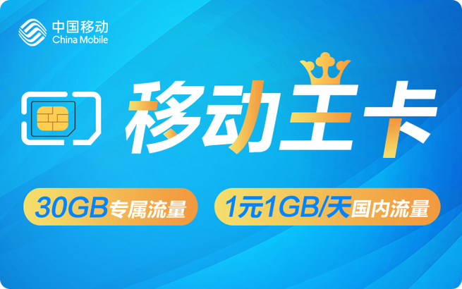 流量大王卡无定向流量吗