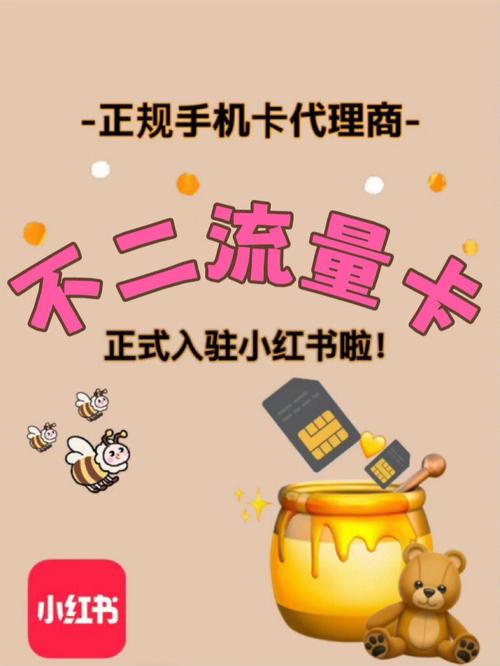 不二流量公众号推出的流量卡究竟有何独特之处？