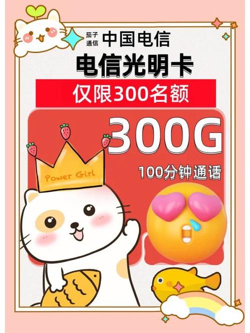流量卡300每