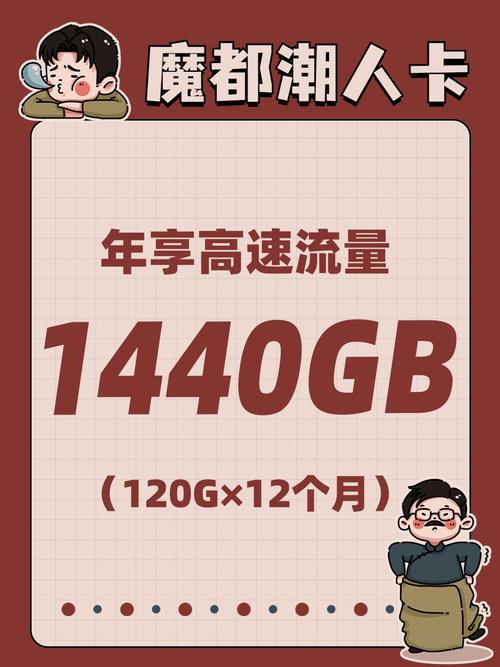 联通流量卡最多多少流量